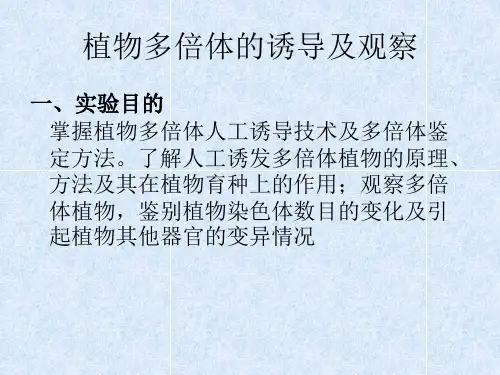 植物多倍体的诱导