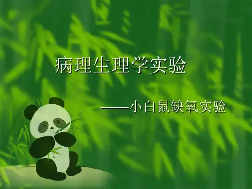 缺氧实验
