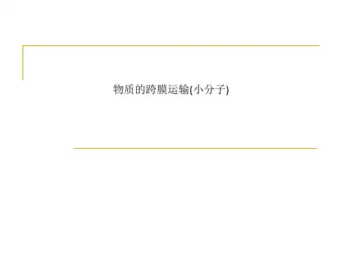 物质的跨膜运输(小分子)