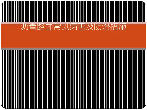 沥青路面常见病害[优质PPT]