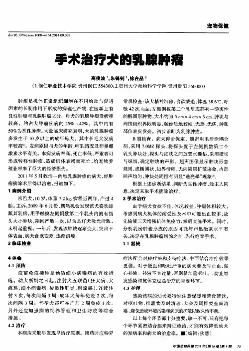 手术治疗犬的乳腺肿瘤