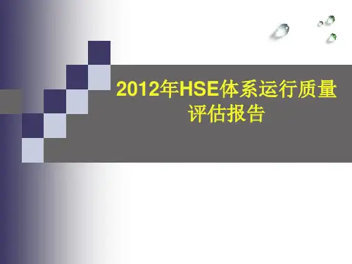 HSE体系质量分析报告z
