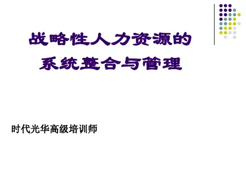 人力资源的系统整合与管理