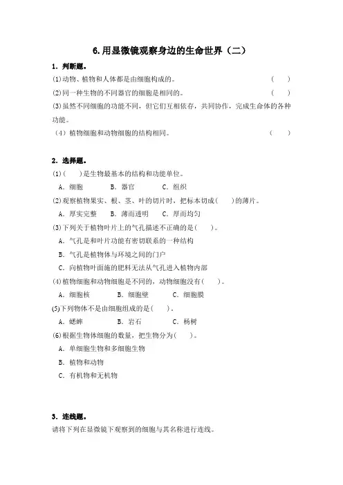 6.用显微镜观察身边的生命世界(二)-重点练习(含答案)2020科教版六年级下册科学