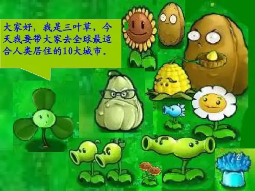 最适合人类居住的十大城市65页PPT