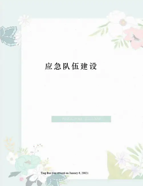 应急队伍建设 2