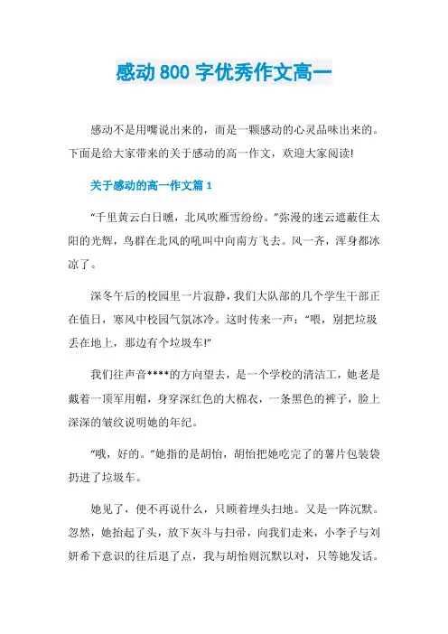 感动800字优秀作文高一