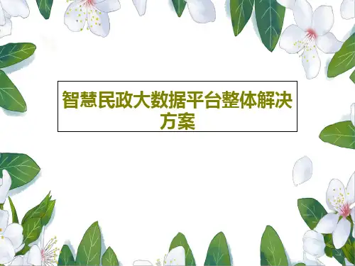 智慧民政大数据平台整体解决方案共36页文档
