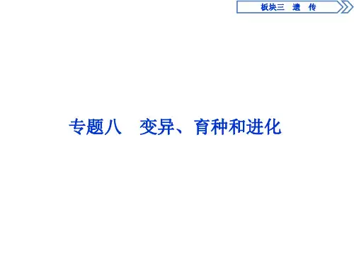 【二轮速递】高考生物二轮课件：专题八 变异、育种和进化
