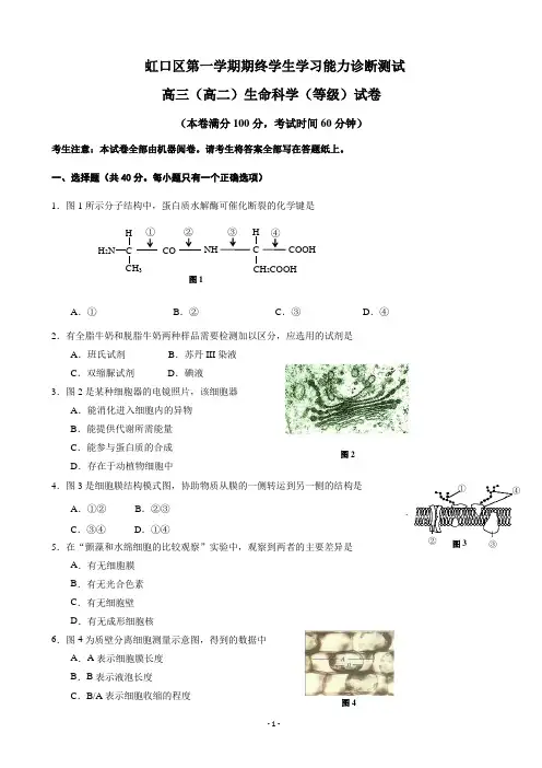 2020届上海市虹口区高三上学期期终学生学习能力诊断测试(一模)生命科学试题