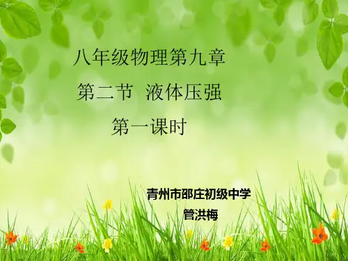 新人教版第九章第二节液体压强课件
