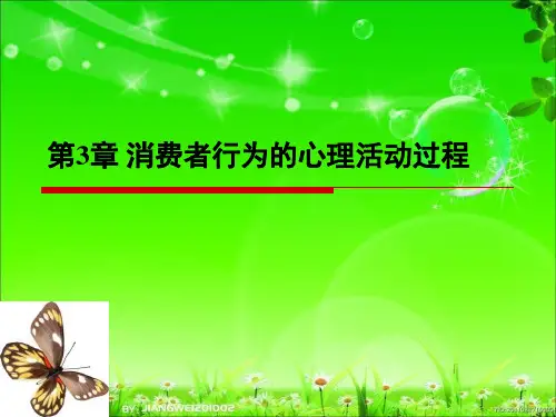 第3章 消费者心理活动过程