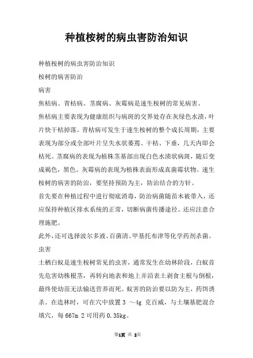 种植桉树的病虫害防治知识