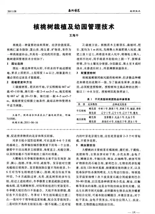 核桃树栽植及幼园管理技术