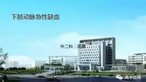 下肢动脉急性缺血 ppt课件