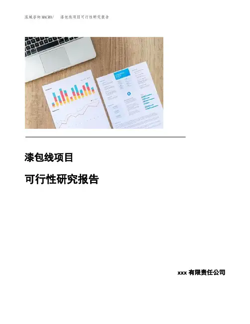 漆包线项目可行性研究报告