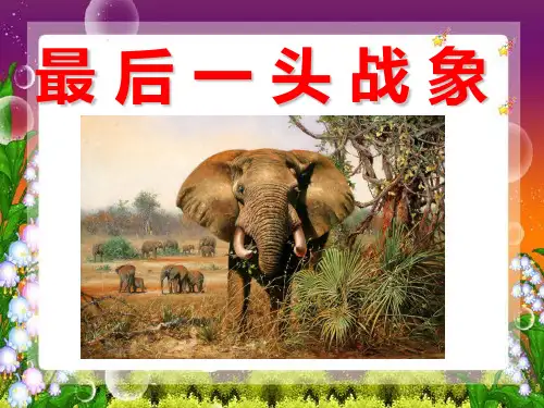 人教版小学语文六年级上册《最后一头战象》PPT-课件