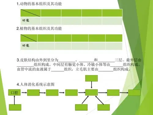 第4节 常见的动物(第一课时)