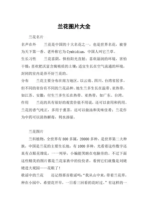 兰花图片大全