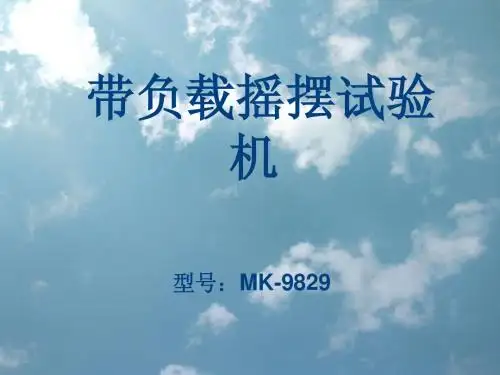 带负载摇摆试验机