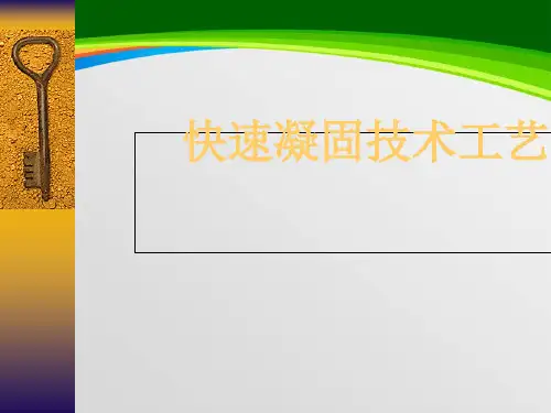 快速凝固技术工艺方法(77页)