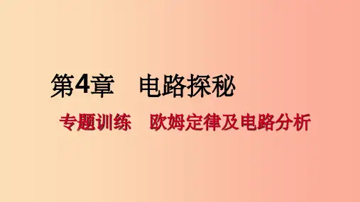 八年级科学上册 第4章 电路探秘 专题训练 欧姆定律及电路分析课件 (新版)浙教版
