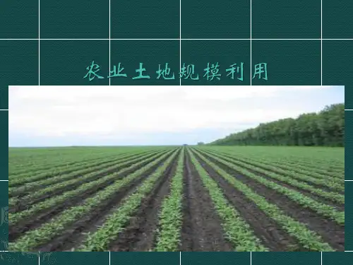 农业土地规模利用