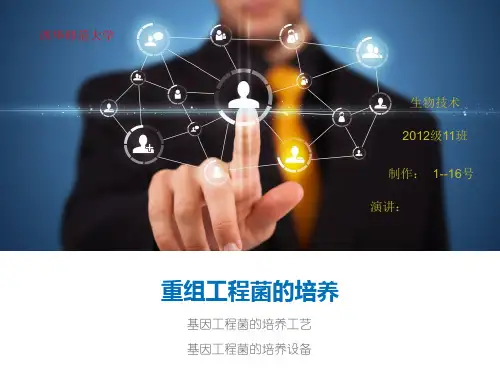 重组工程菌的培养.