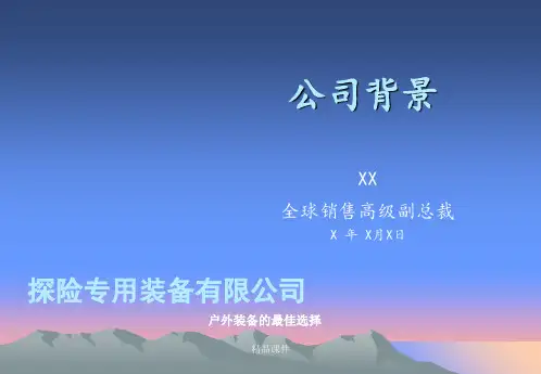 公司背景
