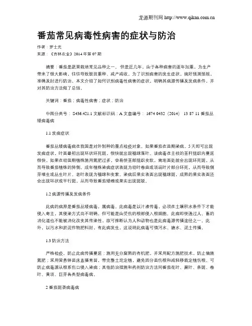 番茄常见病毒性病害的症状与防治