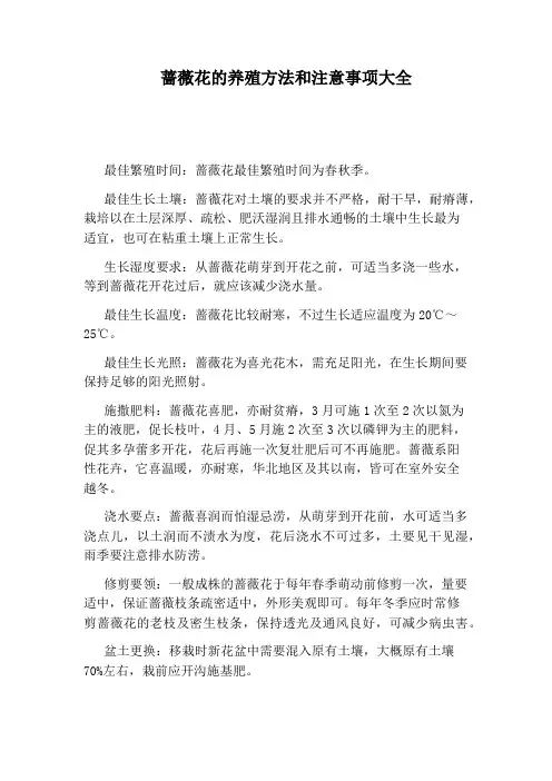 蔷薇花的养殖方法和注意事项大全