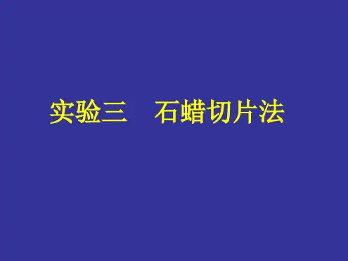 实验三石蜡切片法