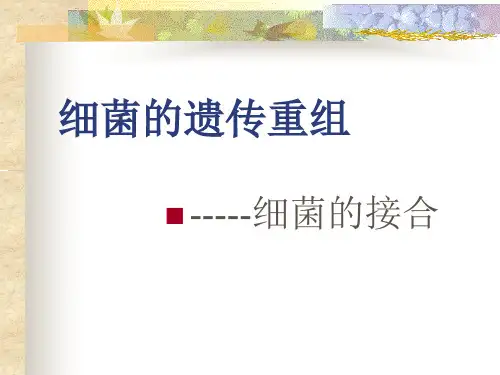 细菌接合(遗传学)