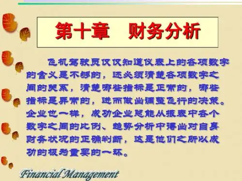 第九章 财务分析