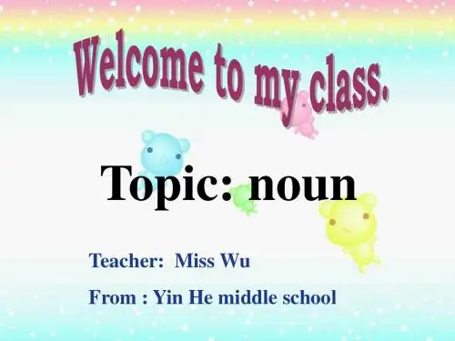 初中语法精讲--名词