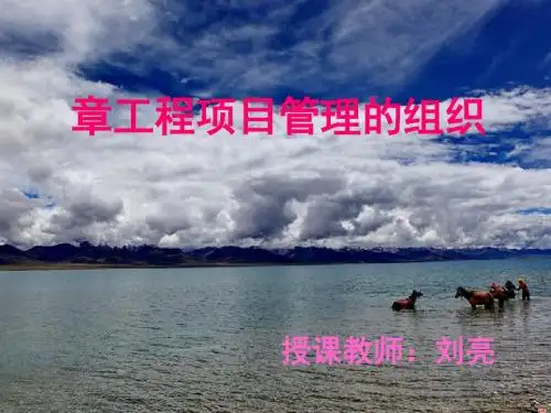 工程项目管理的组织教材(PPT 52张)