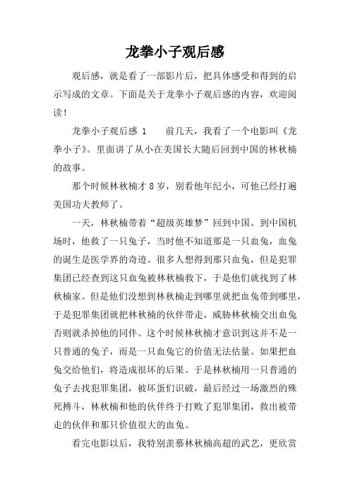 龙拳小子观后感