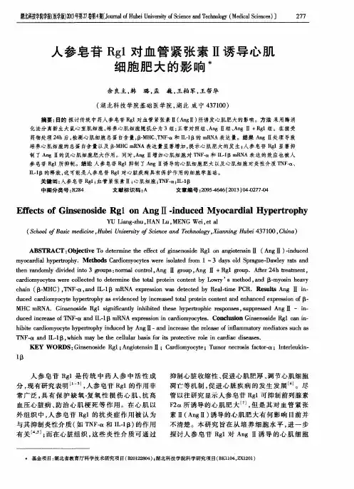人参皂苷Rg1对血管紧张素Ⅱ诱导心肌细胞肥大的影响