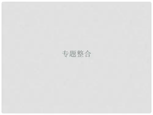 高中历史 专题五 现代中国的对外关系专题整合课件 人