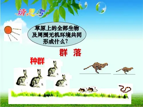 51生态系统的结构33333333PPT课件