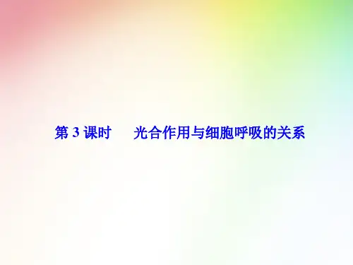 高中生物必修一 光合作用与细胞呼吸的关系
