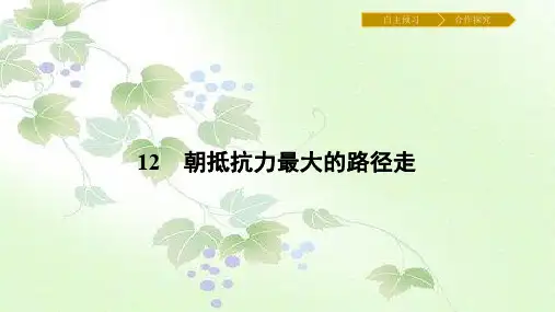 第12课《朝抵抗力最大的路径走》ppt课件