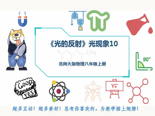 北师大版物理八年级上册《光的反射》光现象10