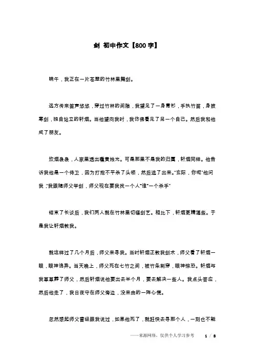剑 初中作文【800字】
