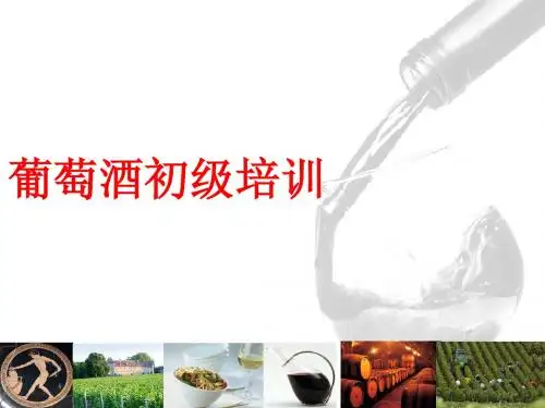 初级课程