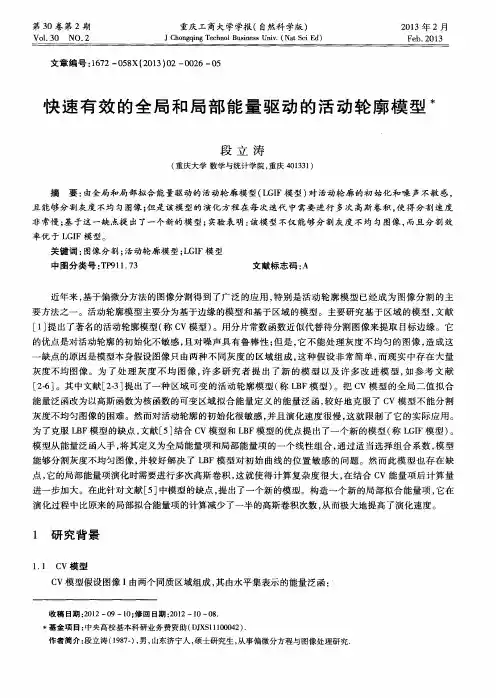 快速有效的全局和局部能量驱动的活动轮廓模型