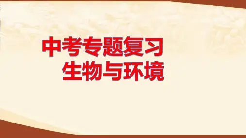 中考专题复习 生物与环境