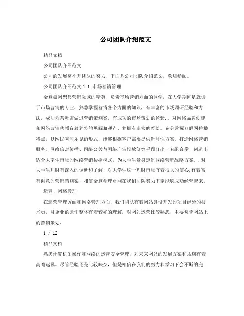 公司团队介绍范文