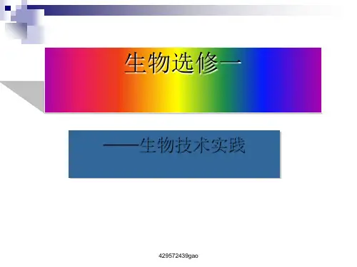 果酒与果醋的制作原理(ppt 48页)