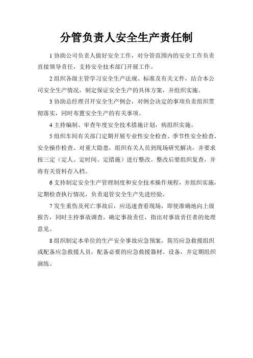 分管负责人安全生产责任制
